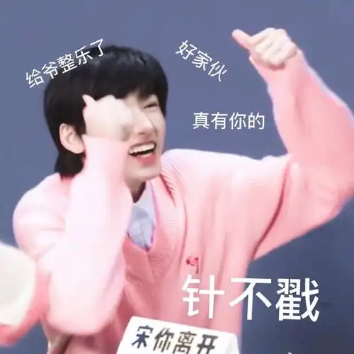 有没有宋亚轩动图表情包搞笑的可爱的? - 知乎