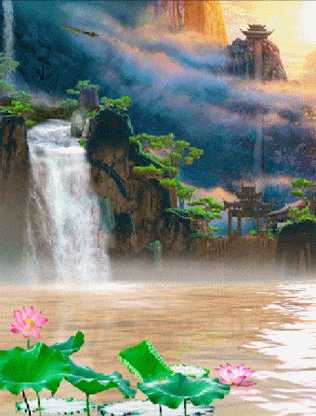 316_416竖版 竖屏gif 动态图 动图