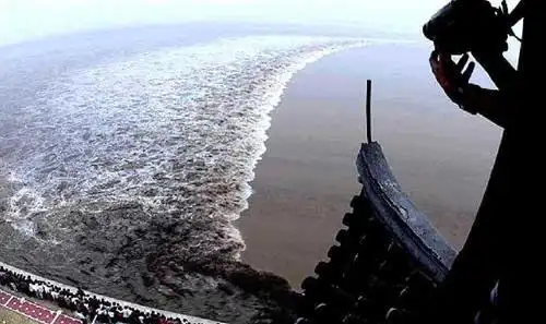 2017-2018年最新人教版小学四年级语文上册四年级语文