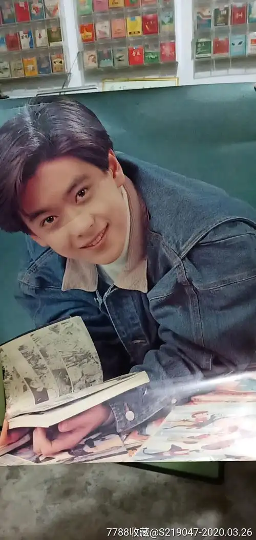 林志颖明星画-明星海报-7788收藏__收藏热线