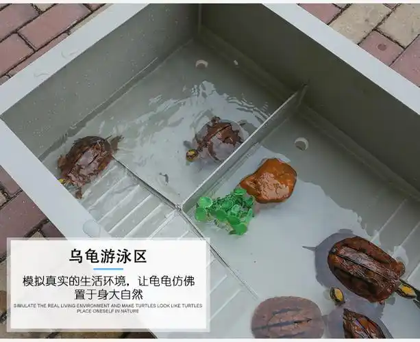 龟池养殖箱家用大型龟苗小龟带晒台喂食区龟缸龟箱南石龟草龟巴龟85