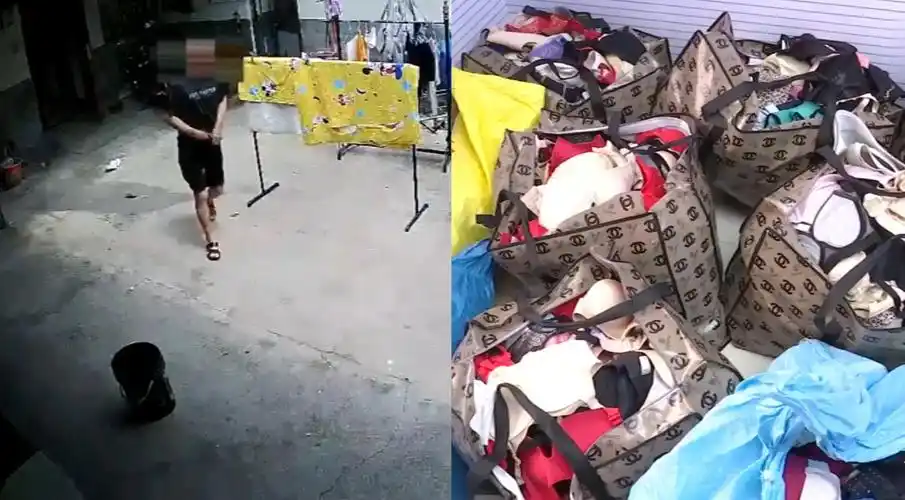 男子频繁偷盗女性内衣,赃物摆满一屋子:看到内衣就忍不住