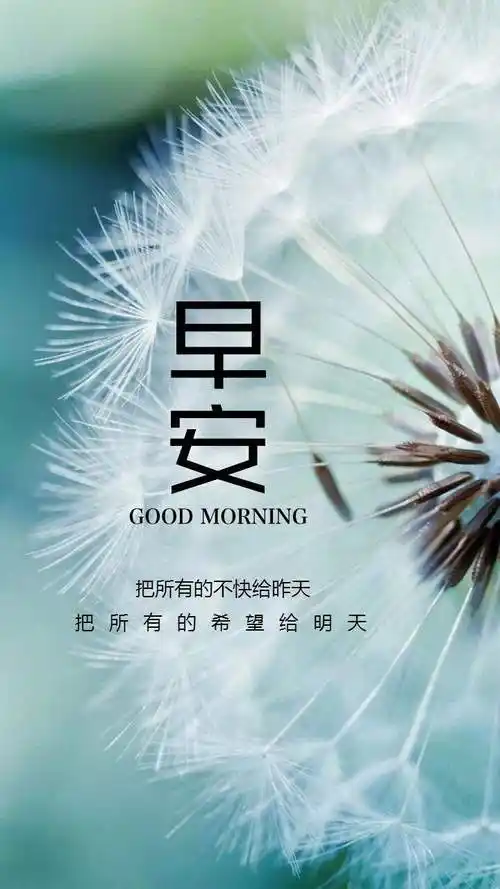 装点你美丽的心情清晨的鲜花无比美丽,代表我祝福的心意祝早安带笑意