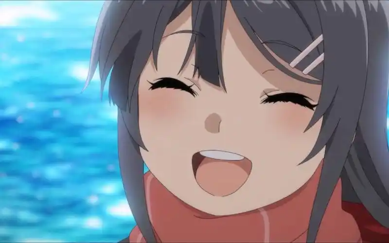 【个人字幕】青春猪头少年不会梦到红书包女孩开头3分钟片段