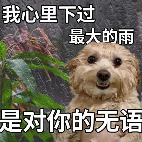 〈赞爆你朋友圈的沙雕文案〉37.每天都要元气满满的接受打击38.