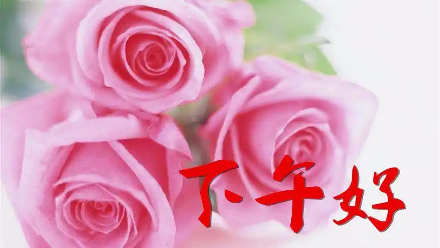 9月17日,下午好,送你一首搞笑歌曲,愿你笑口常开每一天