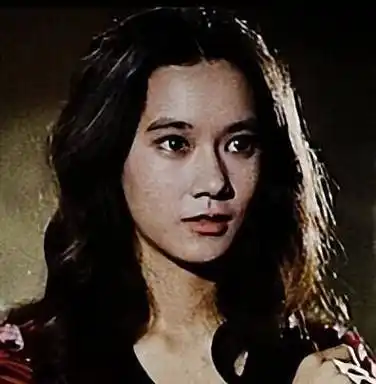 御用女主角,夺走李小龙荧幕初吻,至今无法忘掉_苗可秀_中国_功夫片