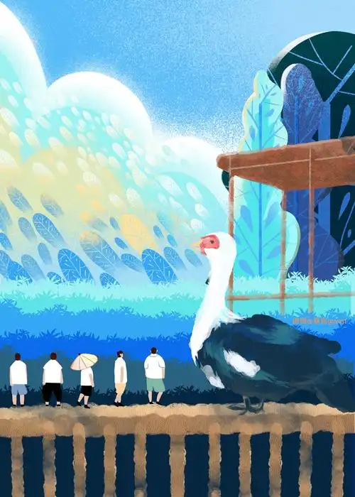 向往的生活插画合集一