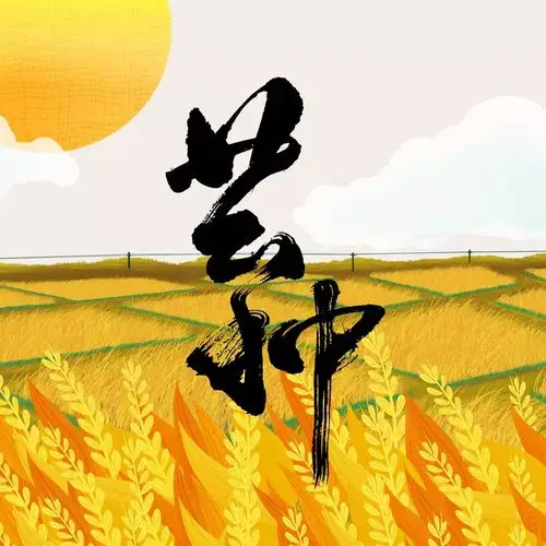 芒种当心夏季倦怠