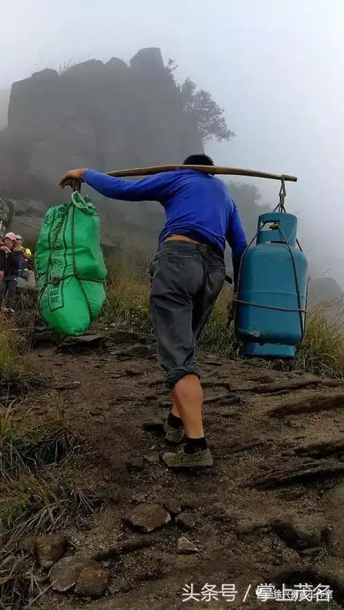 挑 夫 ▏柯小珍