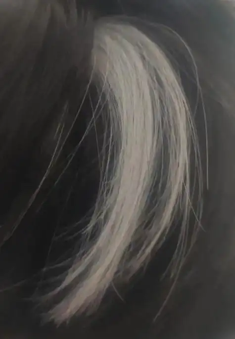 一撮白发飘扬在脑边,真不是我找tony老师染的