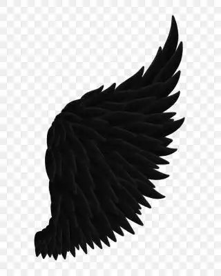 翅膀素材