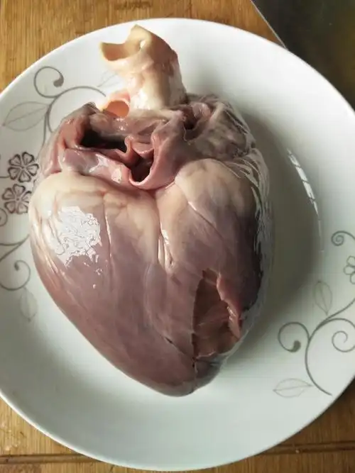 青云145班第八周德育作业之—解剖猪心