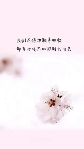 文字图片_我要个性网