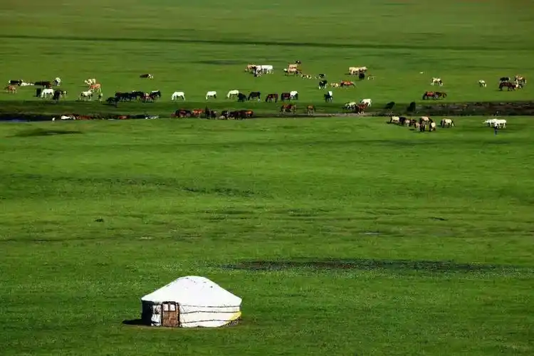 我的家乡内蒙古大草原风吹草低见牛羊