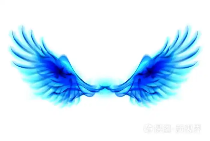 蓝色火翅膀