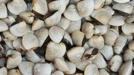 海白最常见的做法就是吊汤底,一碗海南粉配上一碗海白豆芽汤,完美!