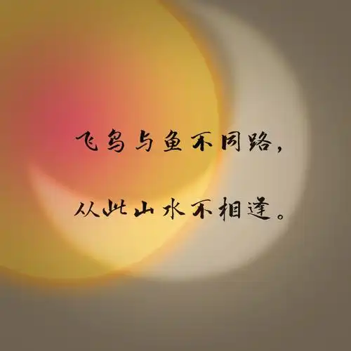 飞鸟与鱼不同路从此山水不相逢