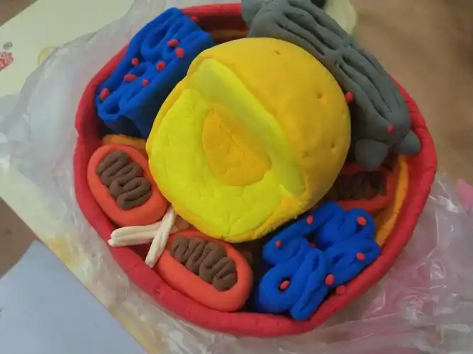 生生不息,格物致知——江苏省太仓高级中学生物学科月活动圆满结束