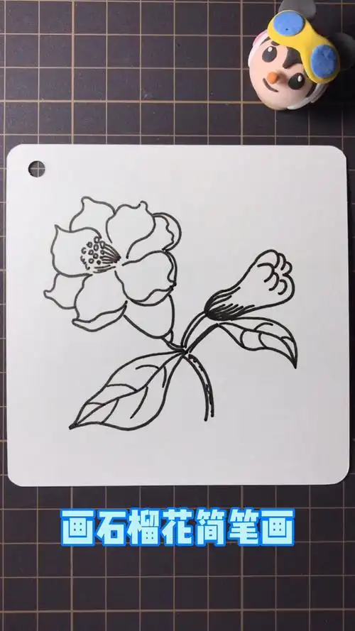 怎样画石榴花简笔画?