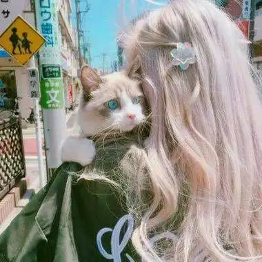 怀里抱有猫的女生头像精选好看的抱着猫的女生头像高清