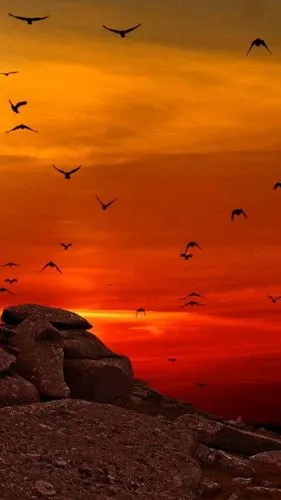 多少的情爱 一片夕阳红