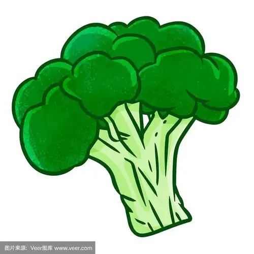 美味的西兰花在简单的卡通风格