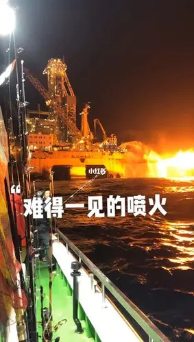 蓝鲸油井喷火了鱼太多了