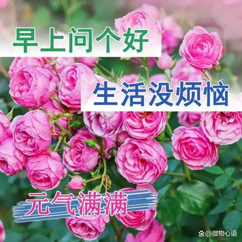 早上好祝福语问候语句子早安祝福语动态唯美图片