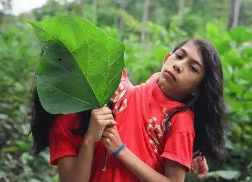 墨西哥连体姐妹共用身体18年坚强美丽的她们经历令人感动