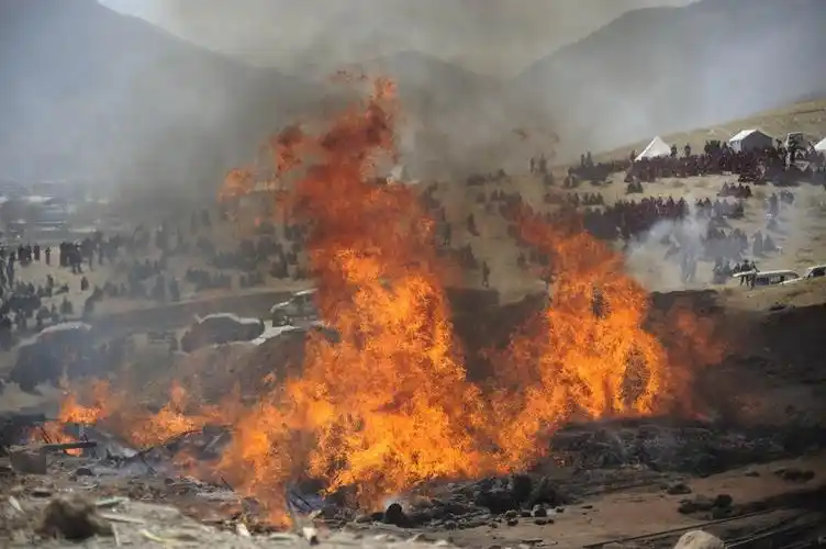 青海玉树地震遇难者遗体火葬_高清图集_新浪网