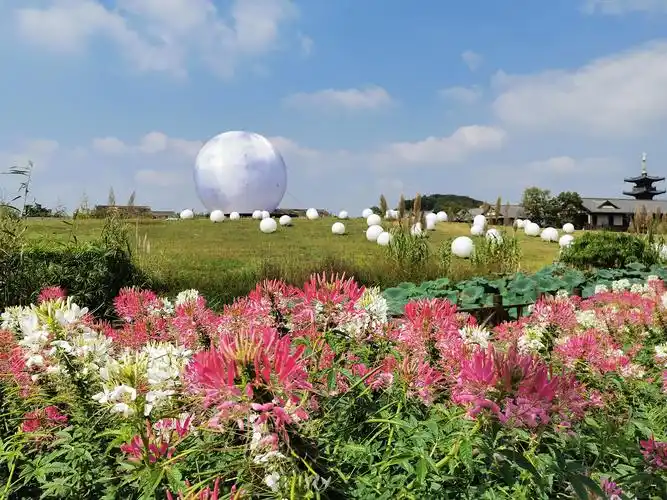 拈花湾花海如潮似仙境