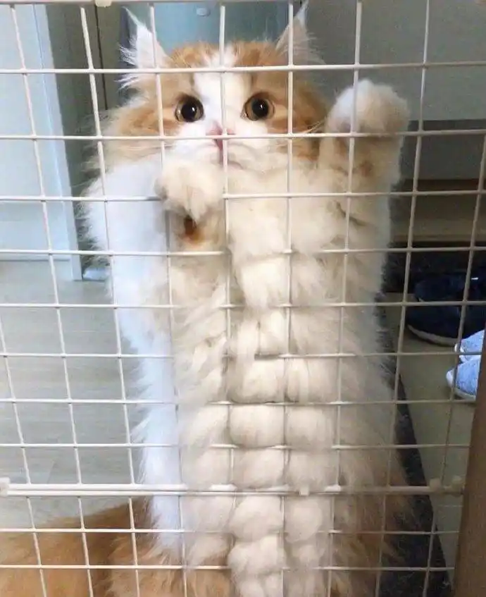 来自lindaccm - 微博