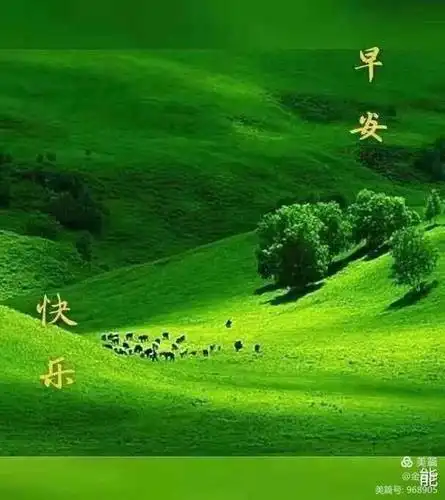 早上好——图片收集