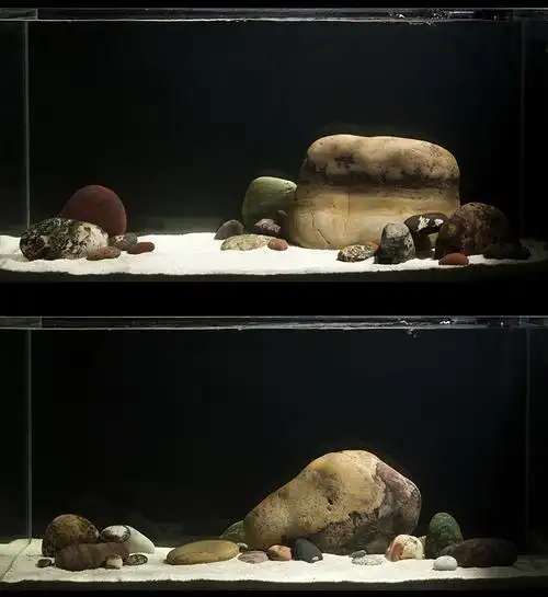 鹅卵石鱼缸造景套餐组合三湖草缸龟缸水族缸造景装饰