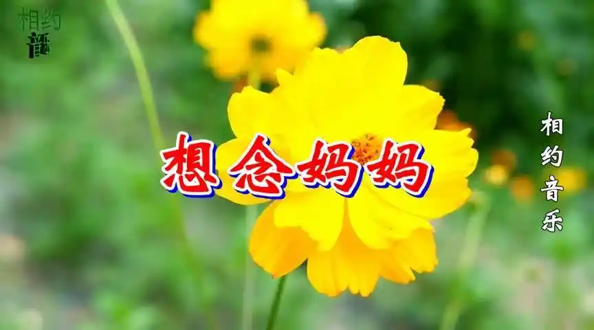 催泪歌曲想念妈妈天堂飘雪听得泪流满面感动万千儿女