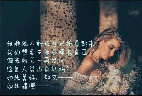 走投无路的时候,也许看看这些句子,就会释然