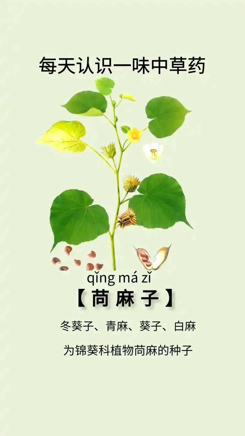 中国中国定连这心成小的要注股西行被信内等点不