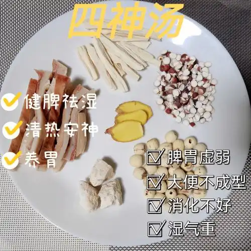 猪肚四神汤中医名方健脾祛湿