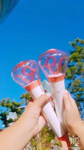 各家应援棒大比拼!谁才是你的最爱