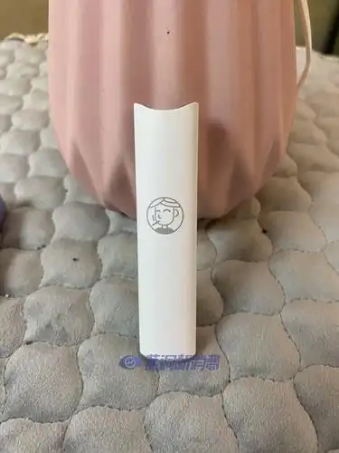 时雾首款换弹产品呆呆测评:一款自带ip形象的电子烟