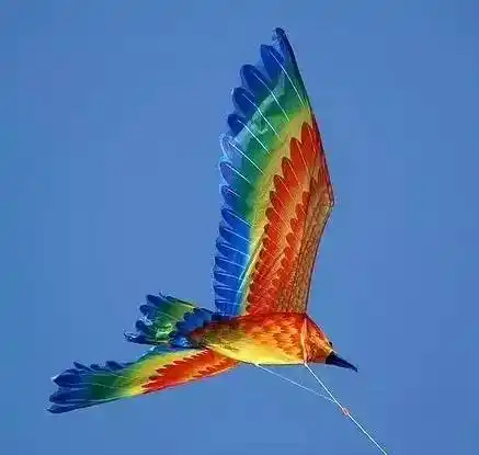 亲子活动 |正是四月好天气 做个风筝飞上天