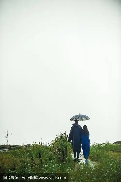 后视图的情侣一起走在雨中雨衣和雨伞