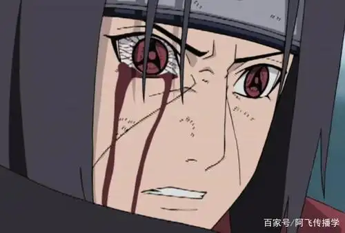 鼬对佐助使用天照后,有谁注意黑绝的反应?仿佛看到了因陀罗