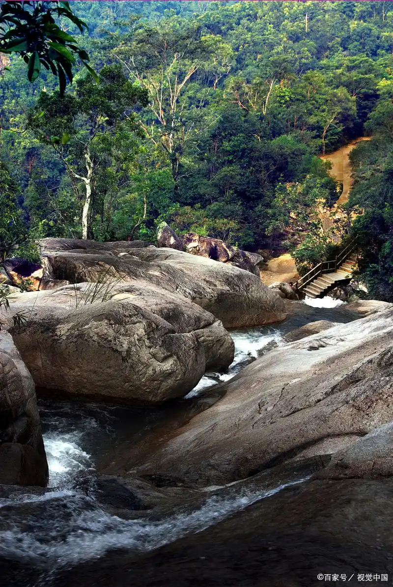 昌江霸王岭:海南最后的原始森林奇遇记