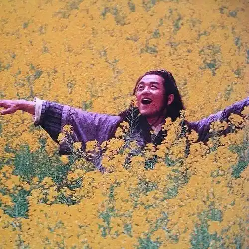 载入中国小区绿化变迁史,我愿称之为《令狐冲仗剑走天涯,李亚鹏败北