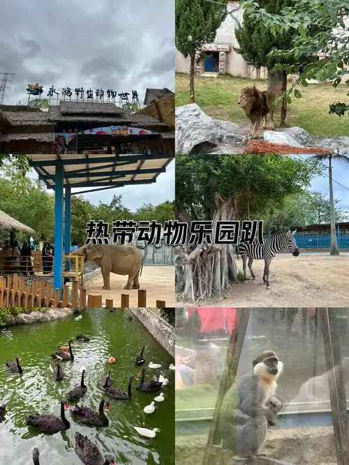 福清永鸿野生动物世界