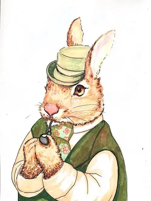 马克笔动物的职业