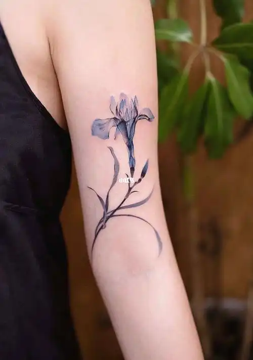 鸢尾～ 96#北京刺青  #女生纹身  #水彩纹身  #鸢尾花  #水彩花卉