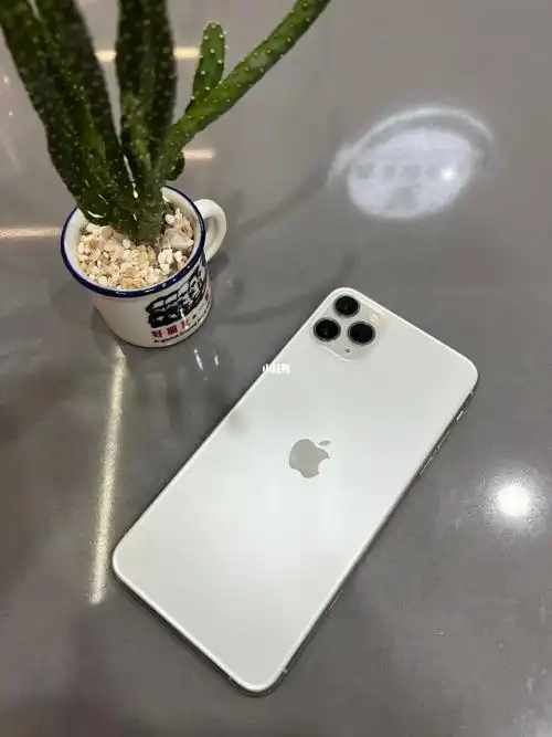 国行11promax256白色,爱思绿,电池效率82,边框轻微戴壳子磨损,4099